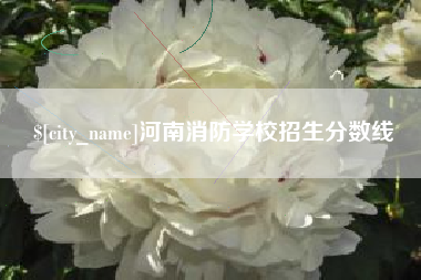 威海河南消防学校招生分数线
