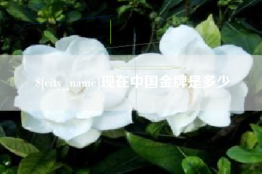 威海现在中国金牌是多少