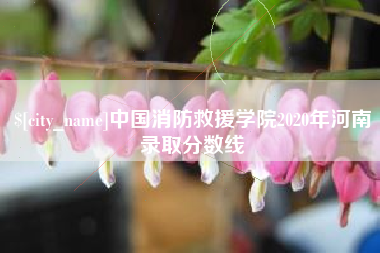 威海中国消防救援学院2020年河南录取分数线