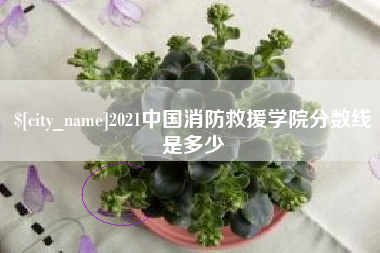 威海2021中国消防救援学院分数线是多少