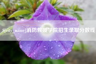 威海消防救援学院招生录取分数线