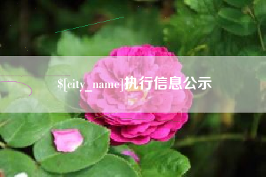 威海执行信息公示