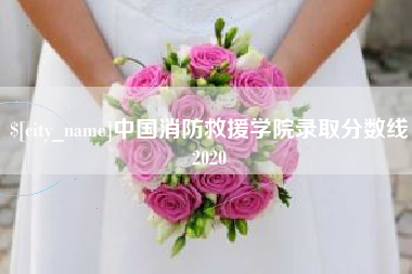 威海中国消防救援学院录取分数线2020