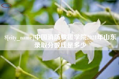 威海中国消防救援学院2021年山东录取分数线是多少