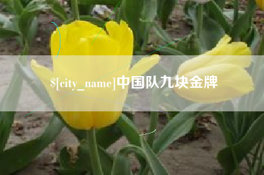 威海中国队九块金牌