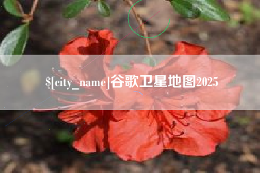 威海谷歌卫星地图2025