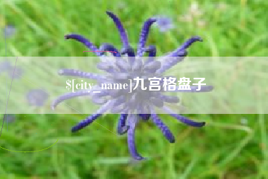 威海九宫格盘子