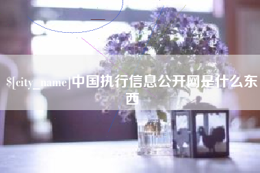 威海中国执行信息公开网是什么东西