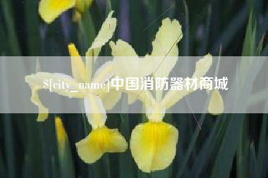威海中国消防器材商城