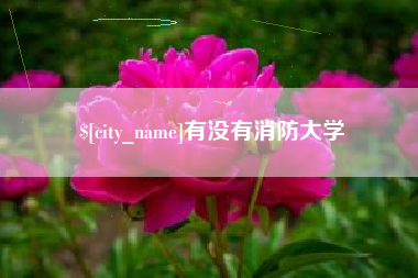 威海有没有消防大学