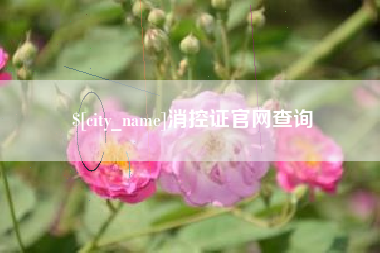 威海消控证官网查询