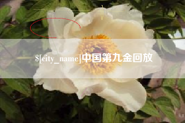 威海中国第九金回放