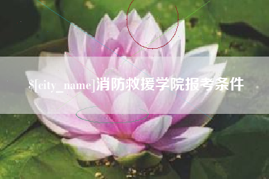 威海消防救援学院报考条件