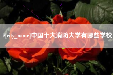 威海中国十大消防大学有哪些学校