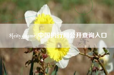 威海中国执行网公开查询入口