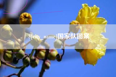 威海国家队图案