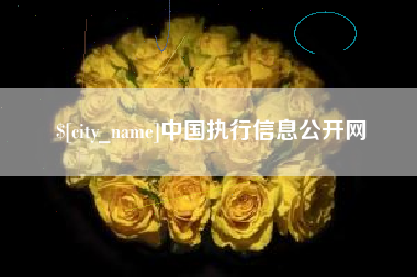 威海中国执行信息公开网