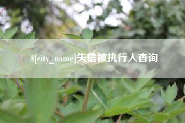 威海失信被执行人杳询