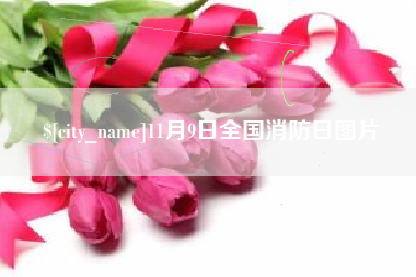 威海11月9日全国消防日图片
