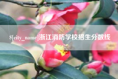 威海浙江消防学校招生分数线
