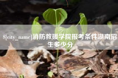 威海消防救援学院报考条件湖南招生多少分