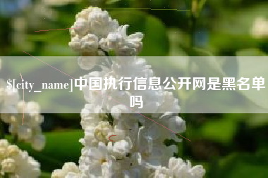威海中国执行信息公开网是黑名单吗