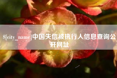 威海中国失信被执行人信息查询公开网址