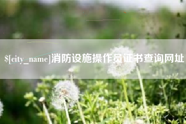 威海消防设施操作员证书查询网址