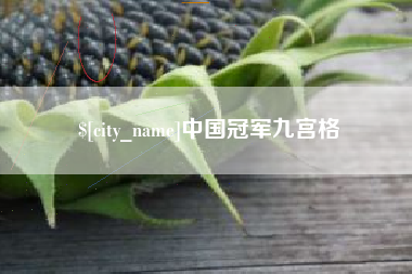 威海中国冠军九宫格