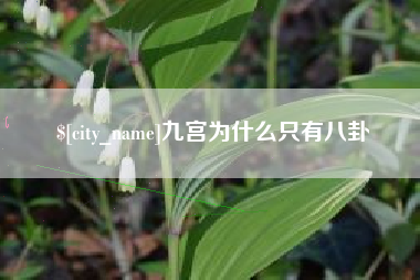 威海九宫为什么只有八卦