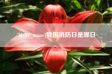 威海我国消防日是哪日