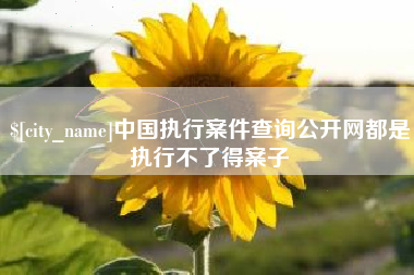 威海中国执行案件查询公开网都是执行不了得案子