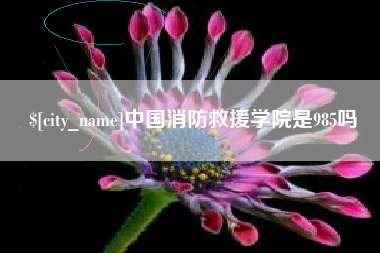 威海中国消防救援学院是985吗