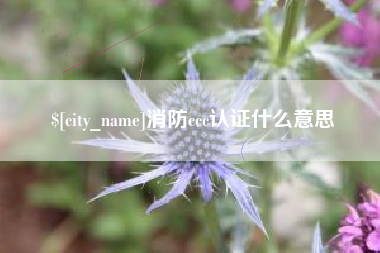 威海消防ccc认证什么意思