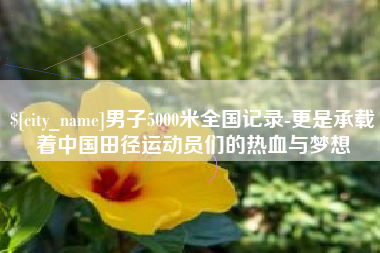 威海男子5000米全国记录-更是承载着中国田径运动员们的热血与梦想