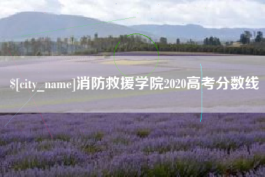 威海消防救援学院2020高考分数线