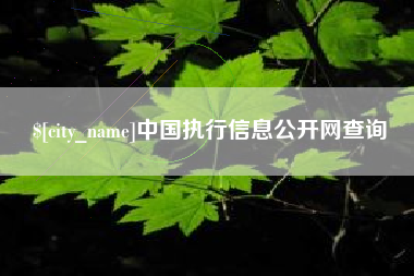 威海中国执行信息公开网查询