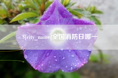 威海全国消防日哪一