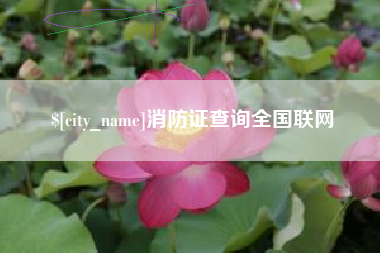 威海消防证查询全国联网