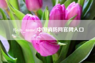 威海中国消防网官网入口