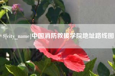 威海中国消防救援学院地址路线图