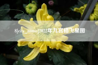 威海2022年九宫格飞星图
