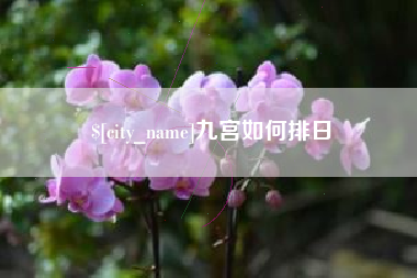 威海九宫如何排日