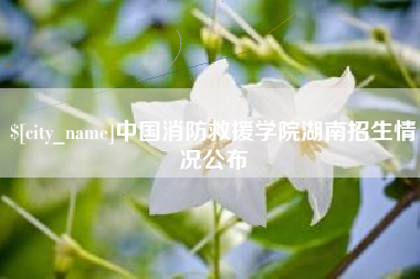 威海中国消防救援学院湖南招生情况公布