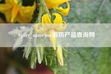 威海ccc消防产品查询网