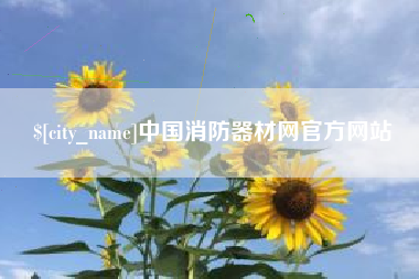 威海中国消防器材网官方网站