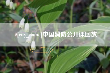 威海中国消防公开课回放