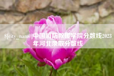 威海中国消防救援学院分数线2023年河北录取分数线