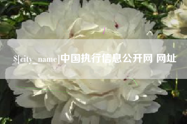威海中国执行信息公开网 网址