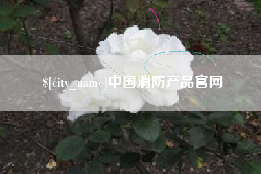 威海中国消防产品官网